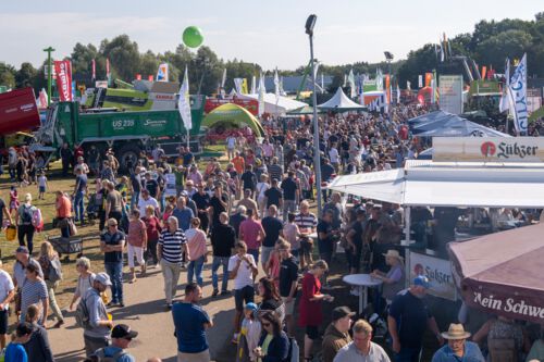 Tier der MeLa "Das Punktscheckenkaninchen"